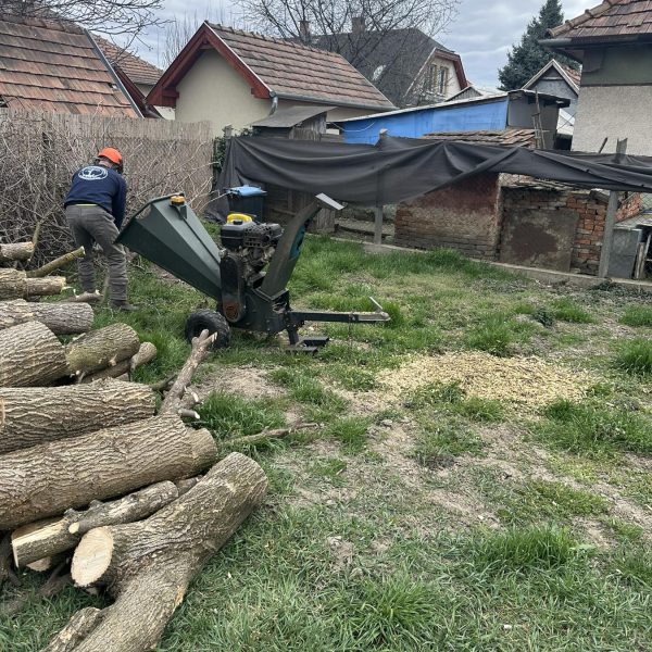 Gallyak darálása fakivágás után